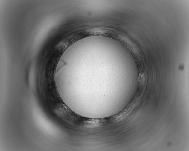 X0000099520381200805291216