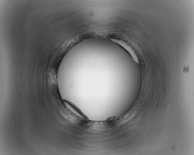 X0000099520384200805291216