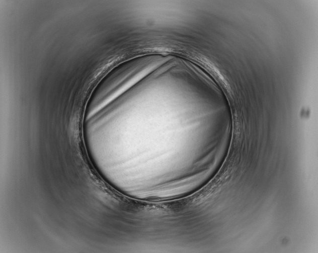 X0000099520386200805291216