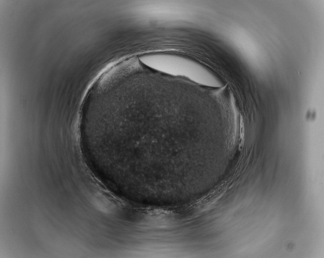 X0000099520387200805291216