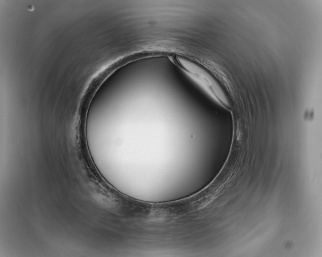 X0000099520388200805291216