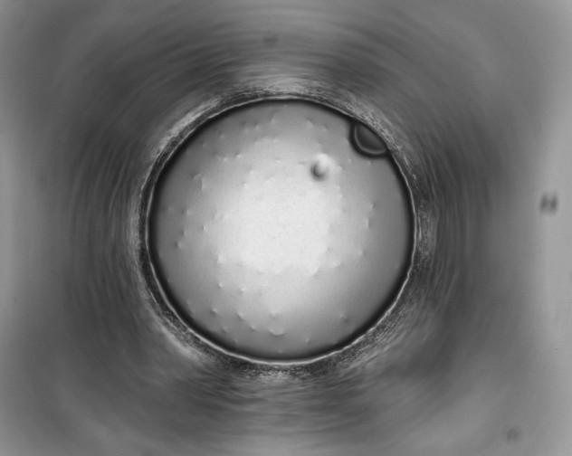 X0000099520390200805291216