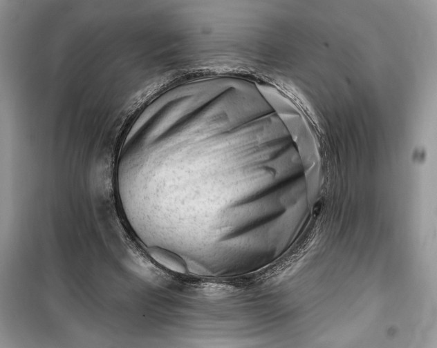 X0000099520393200805291216