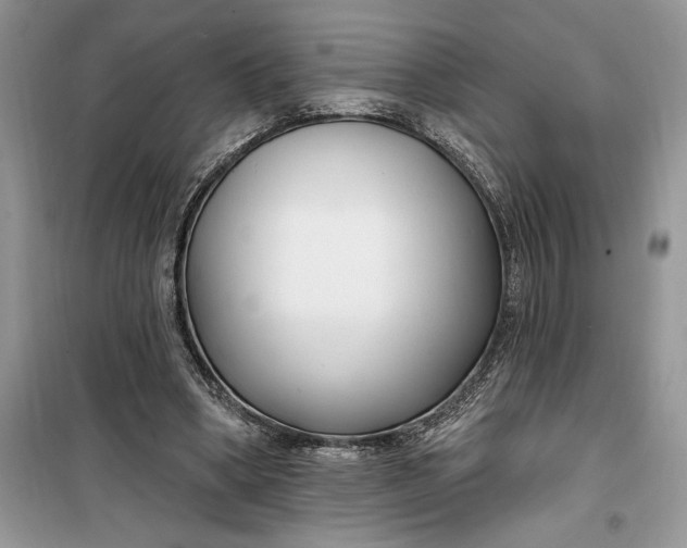 X0000099520394200805291216