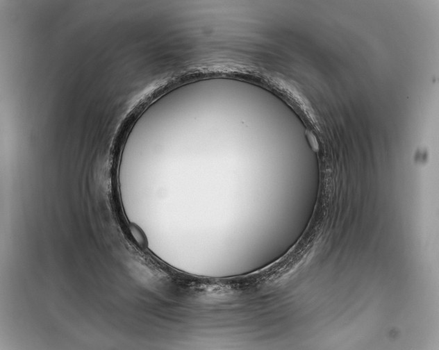 X0000099520395200805291216