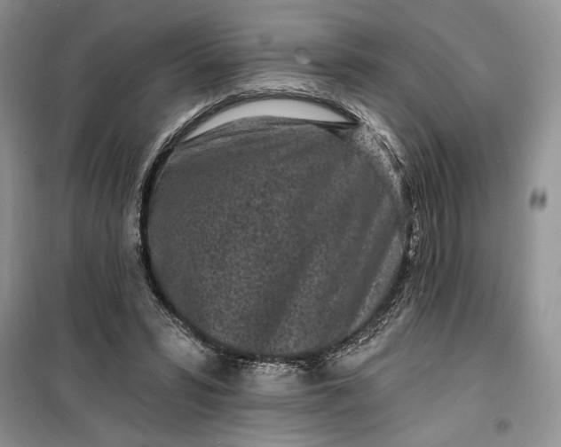 X0000099520399200805291215