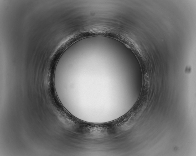 X0000099520400200805291215