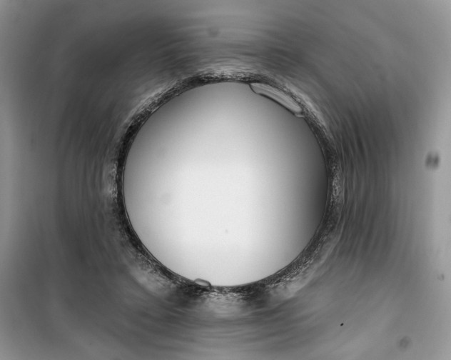 X0000099520403200805291215