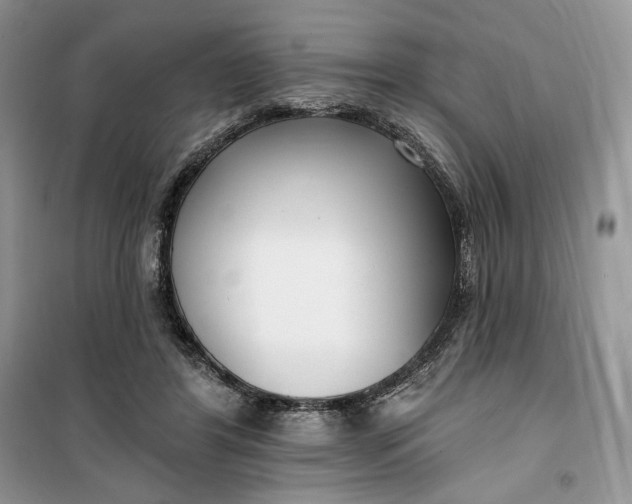 X0000099520404200805291215