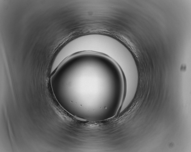 X0000099520405200805291215