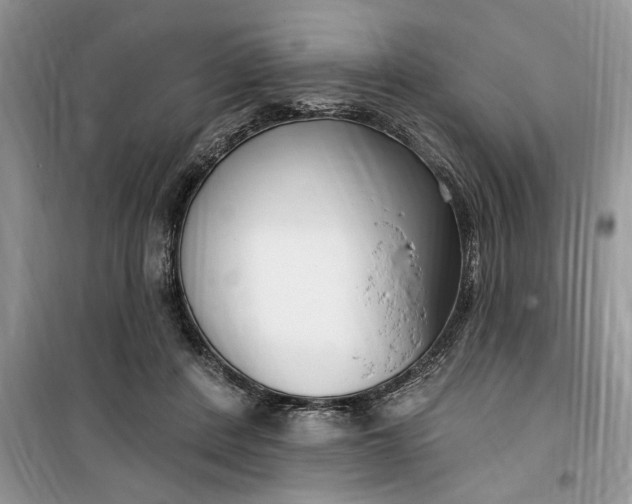 X0000099520408200805291215