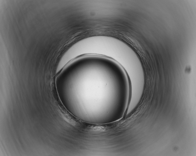 X0000099520409200805291215