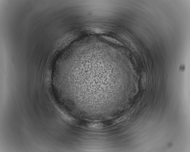 X0000099520410200805291215