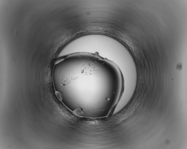 X0000099520411200805291215