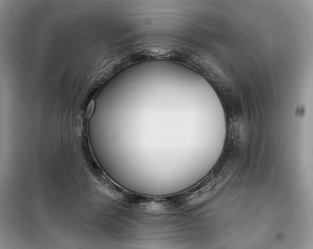 X0000099520412200805291215