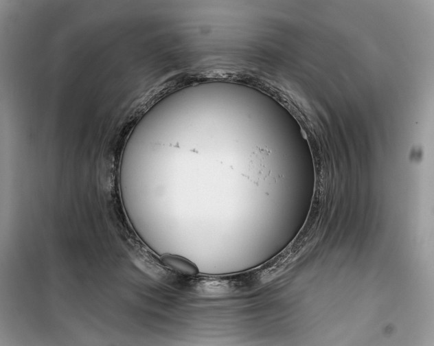 X0000099520413200805291215