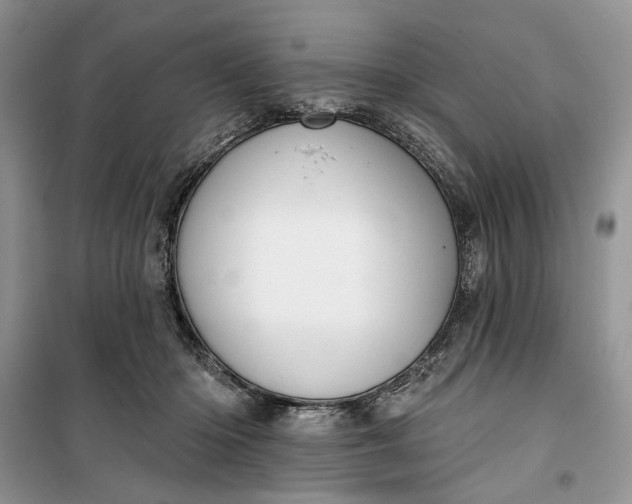 X0000099520414200805291215