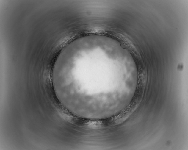 X0000099520415200805291215