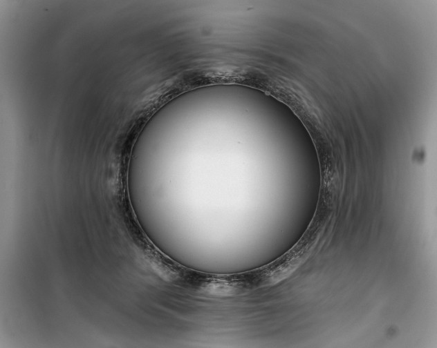 X0000099520416200805291215