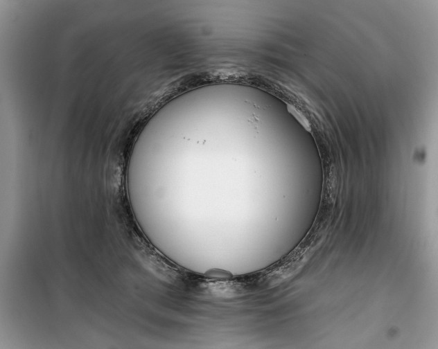 X0000099520417200805291215