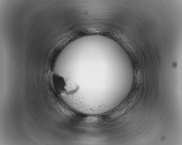 X0000099520418200805291215