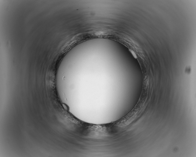 X0000099520421200805291215