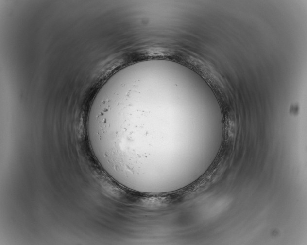 X0000099520422200805291215