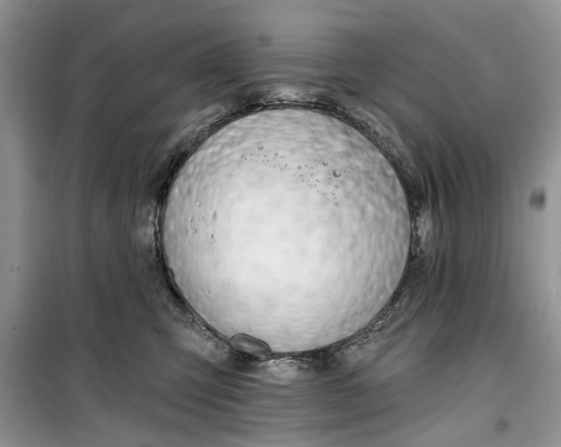 X0000099520423200805291215