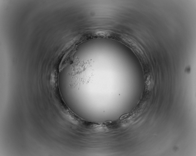 X0000099520424200805291215