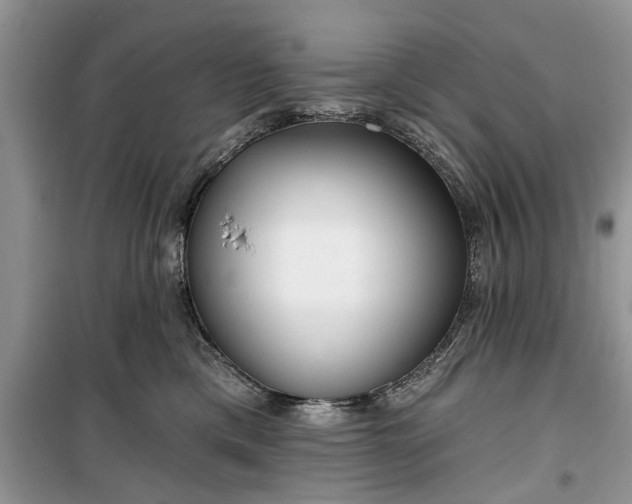 X0000099520425200805291215