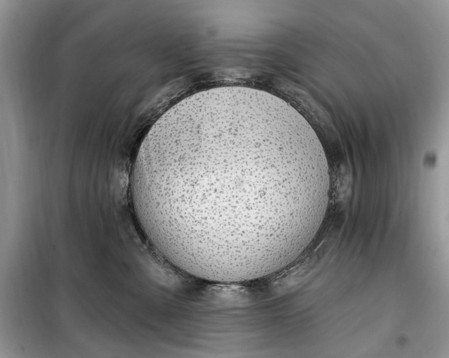 X0000099520427200805291215