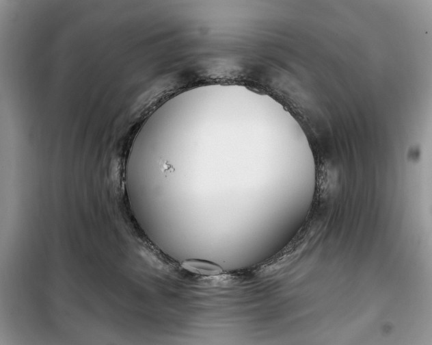 X0000099520428200805291215