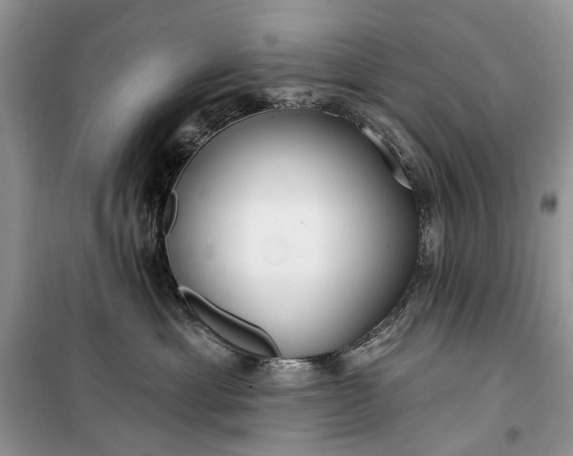 X0000099520429200805291215