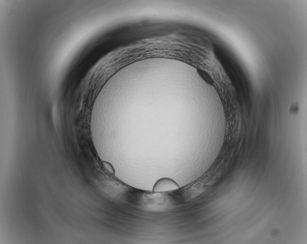 X0000099520431200805291215