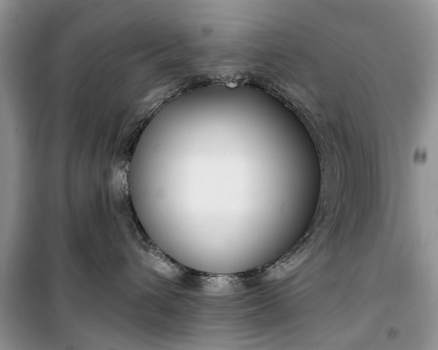 X0000099520432200805291215