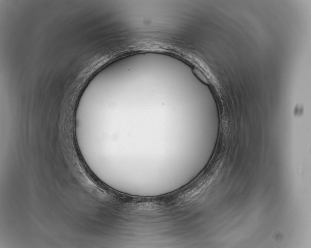 X0000099520433200805291214