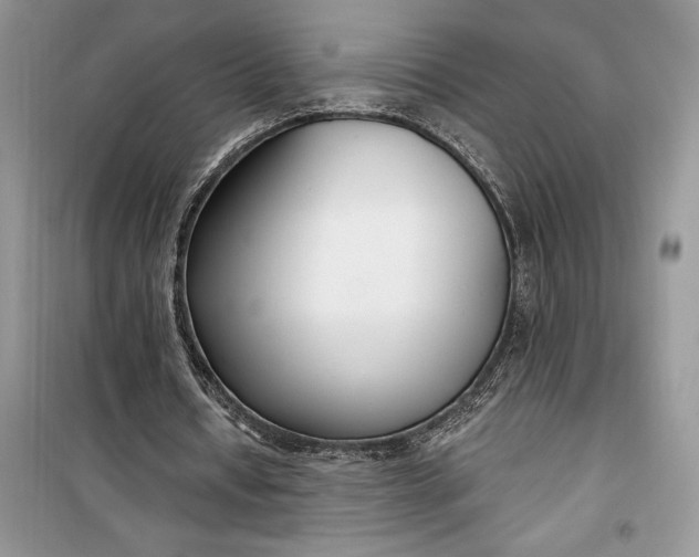 X0000099520434200805291214