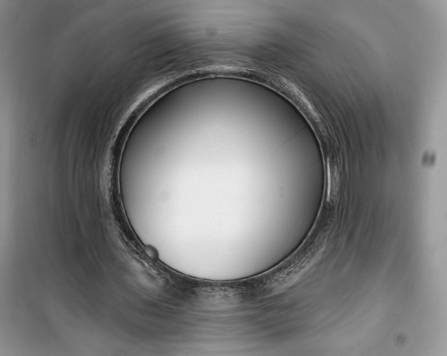 X0000099520435200805291214