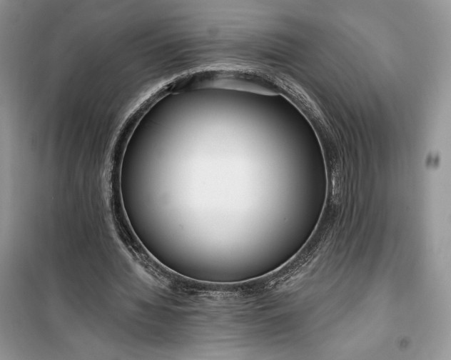 X0000099520436200805291214