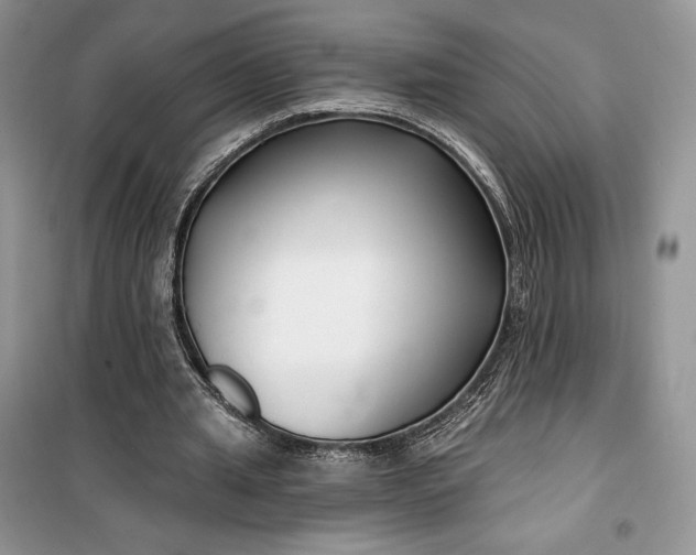 X0000099520437200805291215