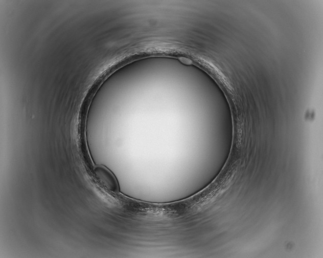 X0000099520439200805291215