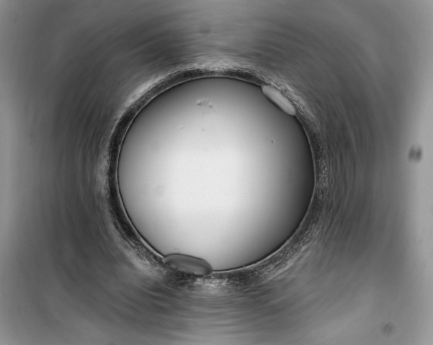 X0000099520440200805291215