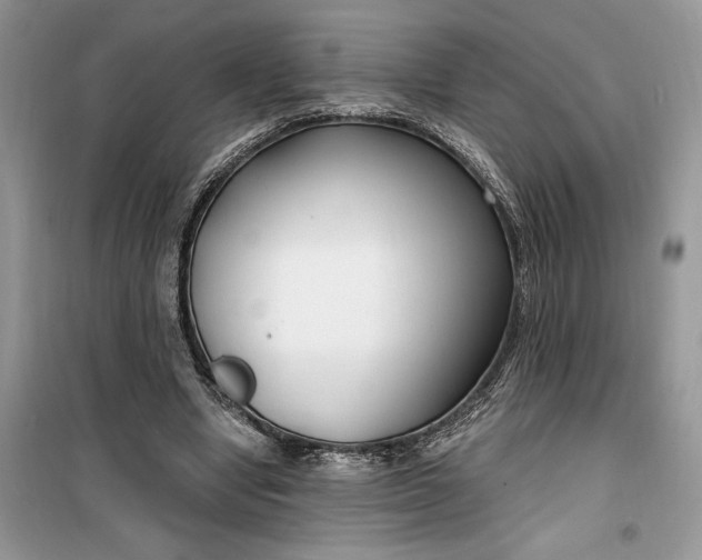 X0000099520442200805291215