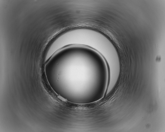 X0000099520444200805291215