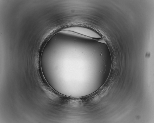 X0000099520446200805291215