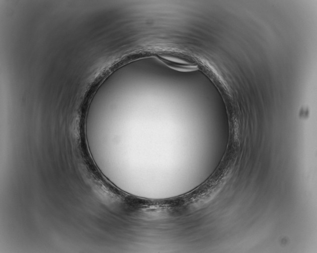 X0000099520447200805291215