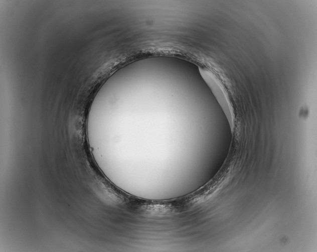 X0000099520449200805291215