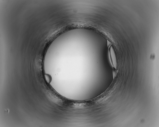 X0000099520450200805291215