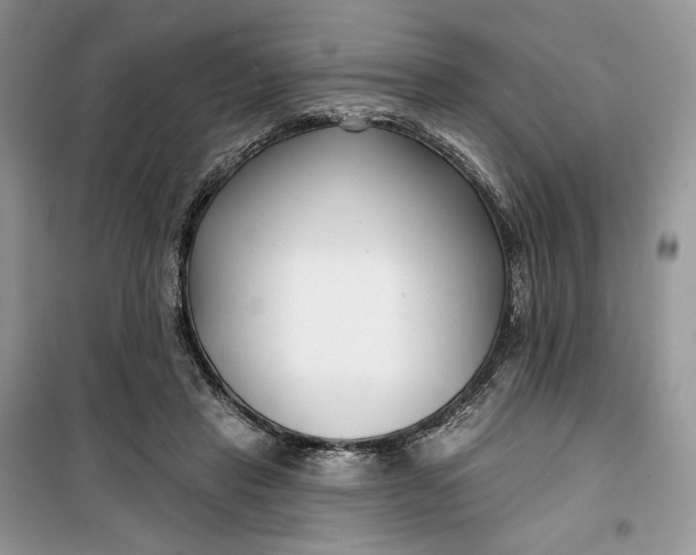 X0000099520453200805291215