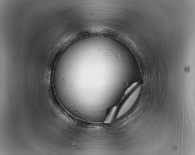 X0000099520454200805291215